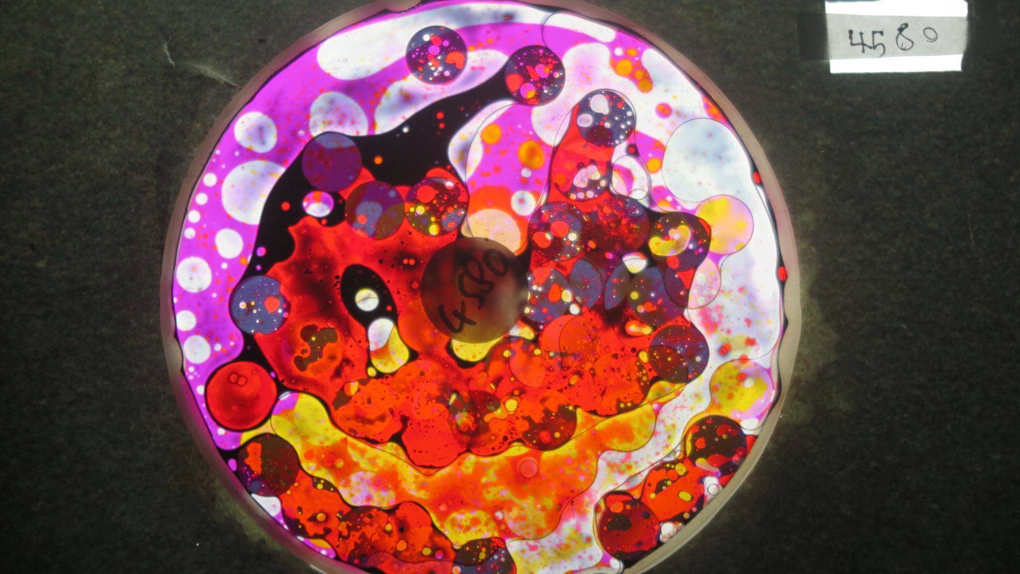 BV4580 bubble vision oil wheel